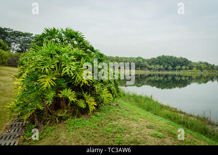 Guangdong Science Center is located in the Guangzhou University City,strange shape and full of a sense of modern science and technology. Stock Photo