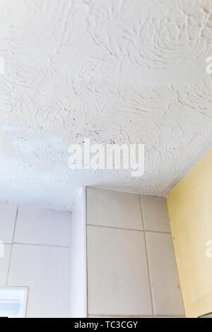 Mold On Ceiling In Bathroom Moisture Damp And Humidity