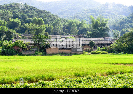 Photographed in Hengxian, the hometown of jasmine in China. Stock Photo