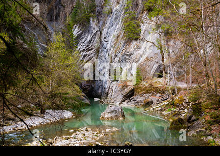 Jogne hi-res stock photography and images - Alamy