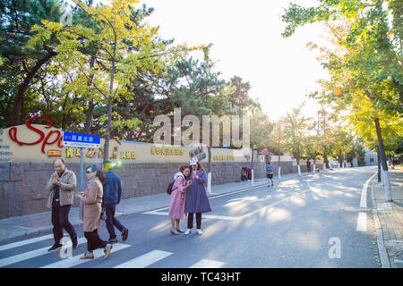 Tourist city street people family park tourists building tourism garden garden trees outdoor buildings buildings traditional road culture of city culture in summer children walk Qingdao Stock Photo