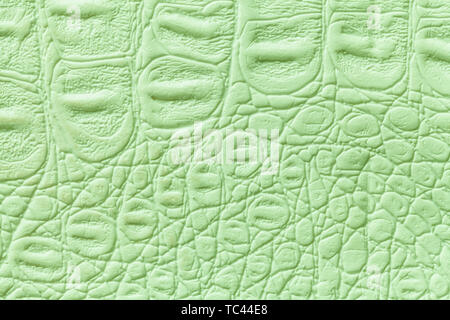 green crocodile skin texture close-up; reptile texture as background Stock  Photo