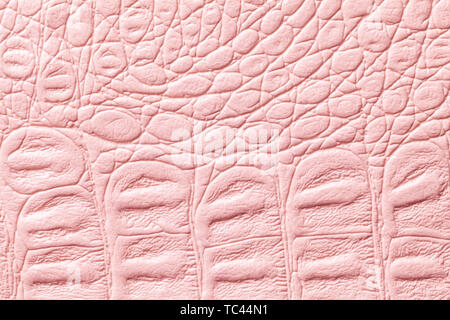 Light pink leather texture background, closeup. Rose reptile skin, macro. Nature structure of textile. Luxury crocodile decorative backdrop. Stock Photo