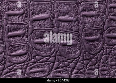 Violet leather texture background, closeup. Dark purple reptile skin, macro. Nature structure of textile. Luxury crocodile decorative backdrop. Stock Photo