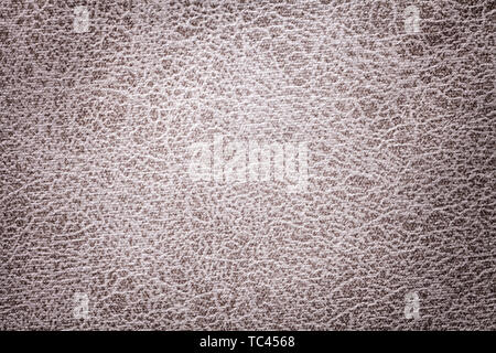 Light gray background from a soft upholstery textile material, closeup. Matte silver velvet fabric with natural texture. Cloth backdrop with vignette Stock Photo