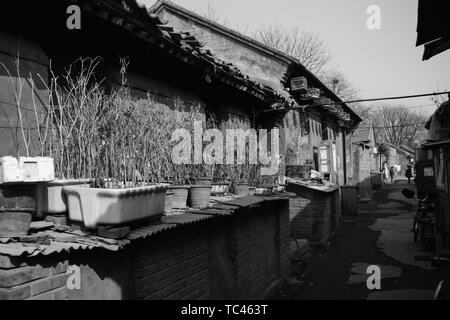 Hutong in the Sanli River area of the front gate before the transformation Stock Photo