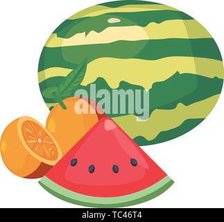 orange watermelon whole and slice fresh food vector illustration design Stock Vector