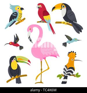 Vector set of cute birds from jungle Stock Vector