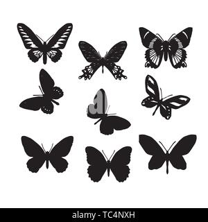 Set of butterflies, isolated on white, collection of silhouettes, EPS 8. Set of butterflies, isolated on white, collection of silhouettes, EPS 8. Stock Vector