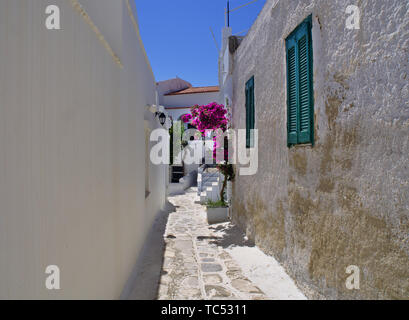 Beautiful peaceful stone paved empty alley with white houses and bougainvillea flowers, no people at noon time, Tinos island, Greece. Stock Photo