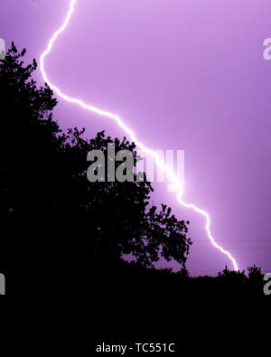 Lightning bolt striking diagonally, framing trees in foreground Stock Photo