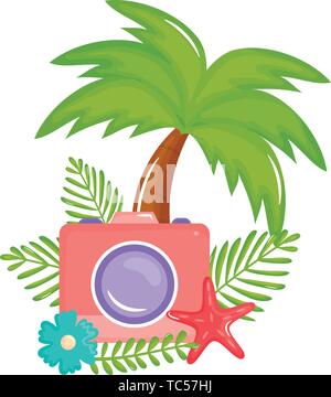 summer vacations design with photographic camera and sunglasses over ...