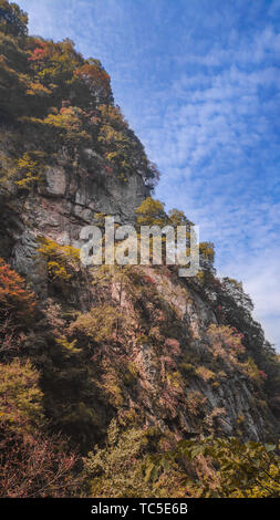 Photographed in Xiangyu Forest Park, Qinling Stock Photo