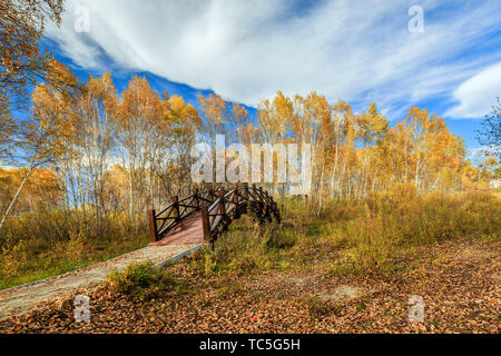Autumn colors on the shores of Sun Lake on the paddock dam Stock Photo