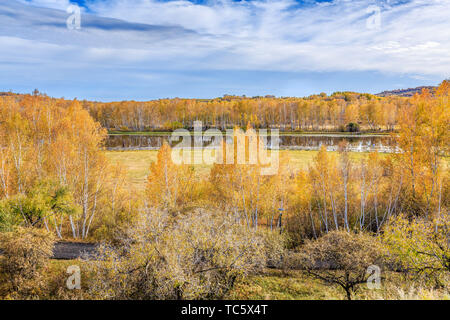 Autumn colors on the shores of Sun Lake on the paddock dam Stock Photo