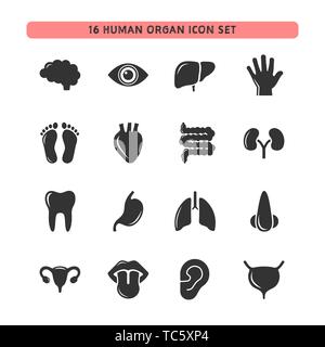 Human organ icon set. Isolated vector illustration Stock Vector