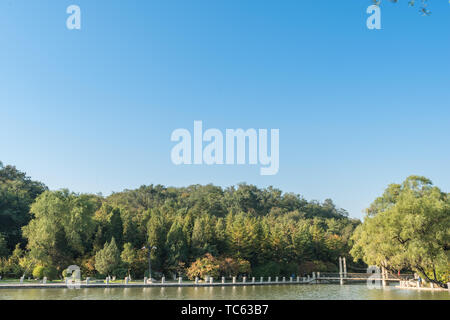 Autumn China Fushun early morning park river bank willow stone bridge cruise ship Stock Photo