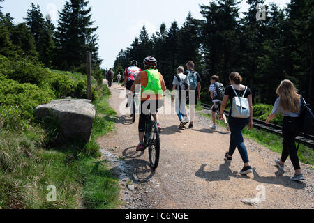 Torfhaus, Germany. 04th June, 2019. Hikers and mountain bikers walk and ride along the Goetheweg from Torfhaus (Lower Saxony) to the Brocken (Saxony-Anhalt). Credit: Swen Pförtner/dpa/Alamy Live News Stock Photo