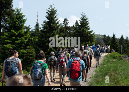 Torfhaus, Germany. 04th June, 2019. Hikers walk along the Goetheweg from Torfhaus (Lower Saxony) to the Brocken (Saxony-Anhalt). Credit: Swen Pförtner/dpa/Alamy Live News Stock Photo