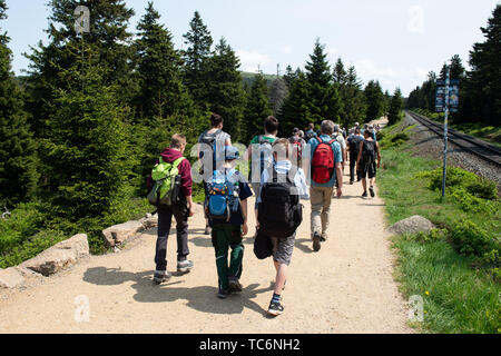 Torfhaus, Germany. 04th June, 2019. Hikers walk along the Goetheweg from Torfhaus (Lower Saxony) to the Brocken (Saxony-Anhalt). Credit: Swen Pförtner/dpa/Alamy Live News Stock Photo