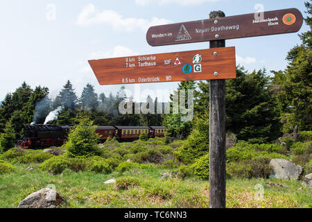 Torfhaus, Germany. 04th June, 2019. The Harzer Brockenbahn travels behind a signpost through the spruce forest in the direction of Brocken (Saxony-Anhalt). Credit: Swen Pförtner/dpa/Alamy Live News Stock Photo