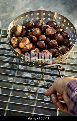 Man roasting fresh sweet chestnuts in their shells in a metal roaster over the hot coals of a barbecue fire in a first person POV with his hand Stock Photo