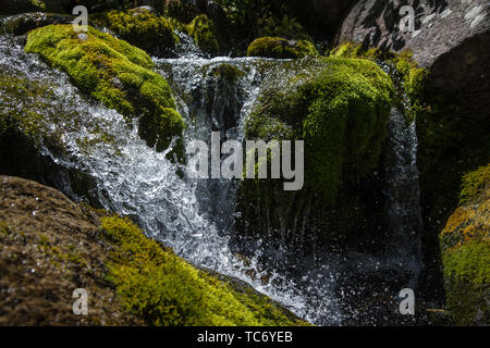 Mountain stream close up. The flow of water among the stones covered with moss. Summer season Stock Photo