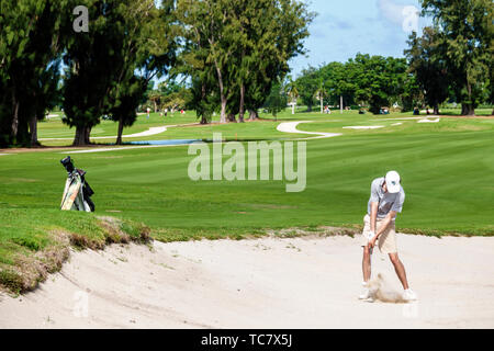 Miami Beach Florida,Normandy Shores Public Golf Club Course,Battle at the Shores NCAA Division II Tournament,varsity,student students golfer golfers p Stock Photo