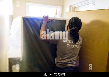 Miami Beach Florida,North Beach,West Elm furniture delivery,Black Blacks African Africans ethnic minority,adult adults man men male,unpacking,assembli Stock Photo