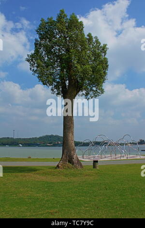 Scenery of Songjiang Moon Lake Sculpture Park in Shanghai Stock Photo