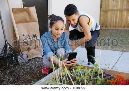 Brother and sister with camera phone photographing seedlings in garden