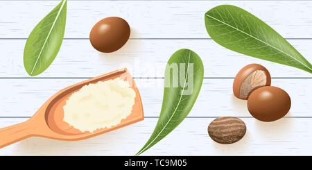 Shea nuts, leaves on white wooden shabby desk. shea butter on wooden spoon. shi tree pods. Vitellaria paradoxa. template copy space. cosmetics, aromat Stock Vector