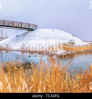 Frame Square Lush grasses on the snow covered shore of a calm silvery lake in winter Stock Photo