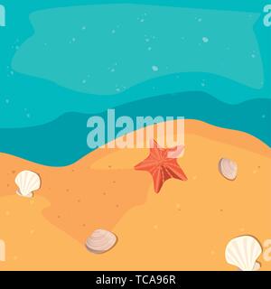 summer time holiday shore beach starfish seashell vector illustration Stock Vector