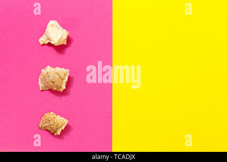 Three seashells on solid bright pink and yellow background with place for text.  Trendy summer vacation concept Stock Photo