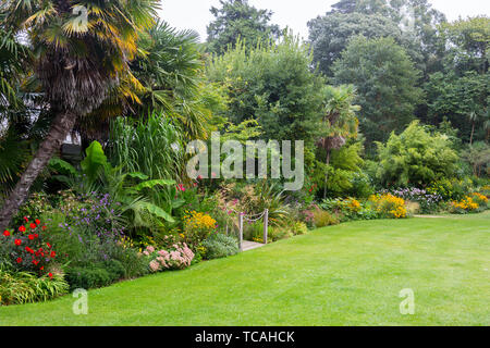 An herbaceous border alongside the West Lawn Abbotsbury Subtropical Gardens, Dorset, England, UK Stock Photo