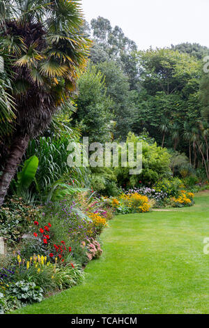 An herbaceous border alongside the West Lawn Abbotsbury Subtropical Gardens, Dorset, England, UK Stock Photo