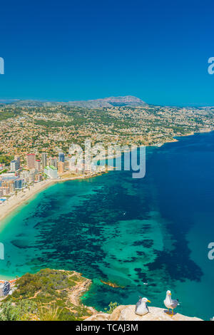 View of the area of apartments and hotels in Calpe, Alicante, Spain, and some beaches from the top of the rock of Ifach Stock Photo