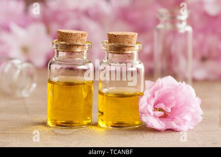 A bottle of essential oil with pink japanese kwanzan cherry blossoms Stock  Photo - Alamy