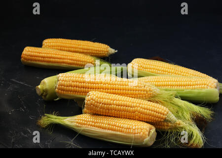 Summer harvest of corn, Fresh corn on the cobs is located on a dark background in random order Stock Photo