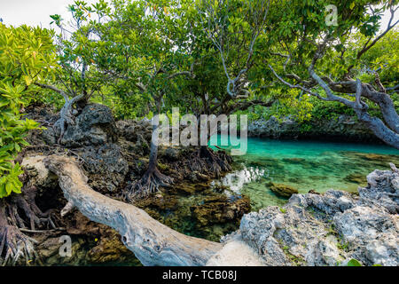 The Blue Lagoon, Port Vila, Efate, Vanuatu - famous tourist destination Stock Photo