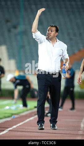 Tehran, Iran. 6th June, 2019. Iran's head coach Marc Wilmots reacts during a friendly football match between Iran and Syria at Azadi Stadium in Tehran, Iran, June 6, 2019. Iran won 5-0. Credit: Ahmad Halabisaz/Xinhua/Alamy Live News Stock Photo