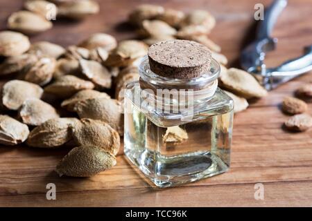 A bottle of apricot kernel oil with apricot kernels on a wooden background.