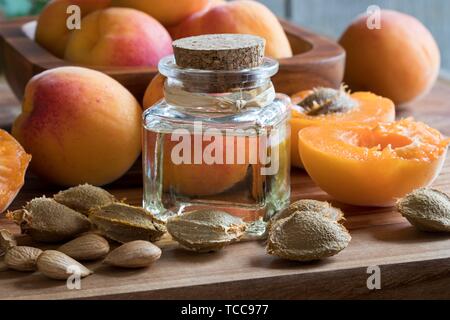 A bottle of apricot kernel oil with ripe apricots and apricot kernels on a wooden table.