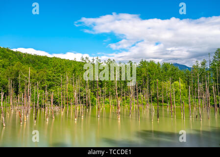 Blue pond (Aoiike) with reflection of tree in summer, located near Shirogane Onsen in Biei Town, Hokkaido, Japan Stock Photo