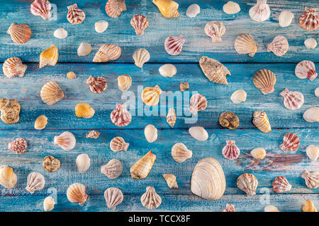 Summer time concept with sea shells on a blue wooden background and sand. Seashells frame on wooden background nautical border. Focus on seashells. Stock Photo