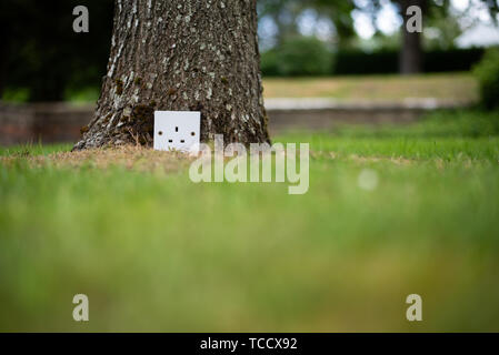 UK Power socket in a tree. Ecological concept, symbolizing renewable green energy, bio energy Stock Photo