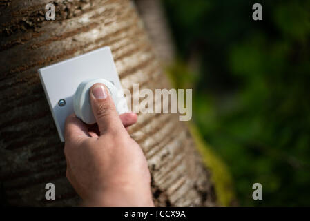 Man inserting UK plug into Power socket in a tree. Ecological concept, symbolizing renewable green energy, bio energy Stock Photo