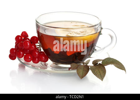 Black tea  with red viburnum and lemon in glass cup isolated on white Stock Photo