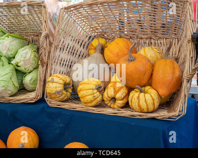 Pumpkins of small sizes sitting in basket next at market next to produce Stock Photo